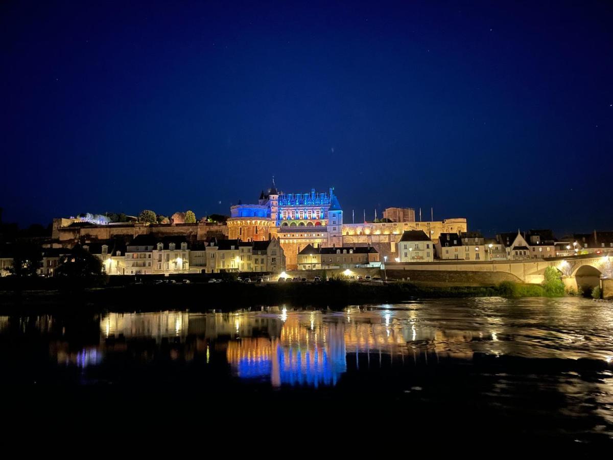 Amboise - L'Ecrin De Leonardヴィラ エクステリア 写真